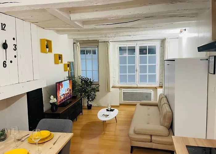 Centre Historique ! A 100m De La Cathedrale 佩里格