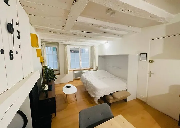 公寓 Centre Historique ! A 100m De La Cathedrale 佩里格