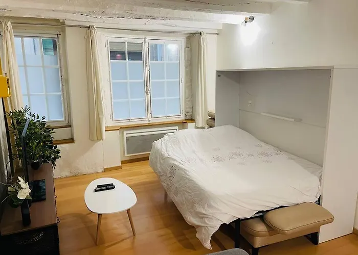 公寓 Centre Historique ! A 100m De La Cathedrale 佩里格