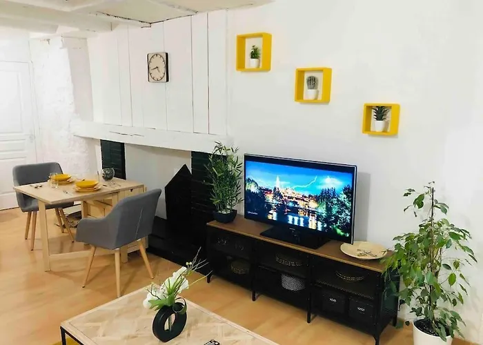 Centre Historique ! A 100m De La Cathedrale 公寓 *